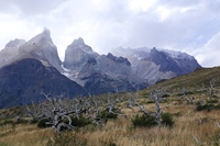 die Cuernos del Paine schälen sich aus den Wolken